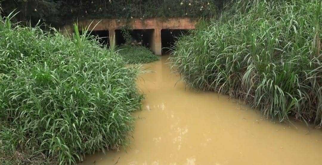 Galamsey: What we are dealing with is a state-sponsored illegal mining – Franklin Cudjoe accuses government | 3News