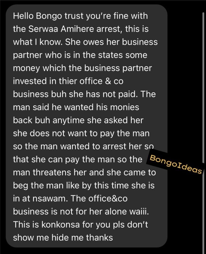 serwaa-amihere-chat