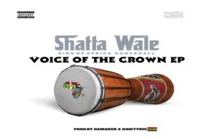 shatta wale
