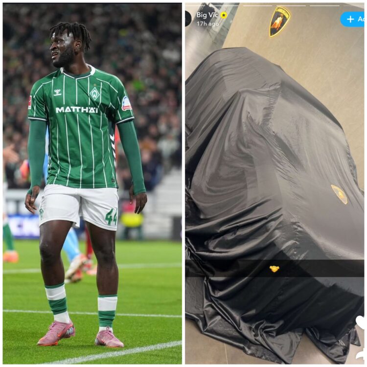 IMG 4246 scaled e1764255901251