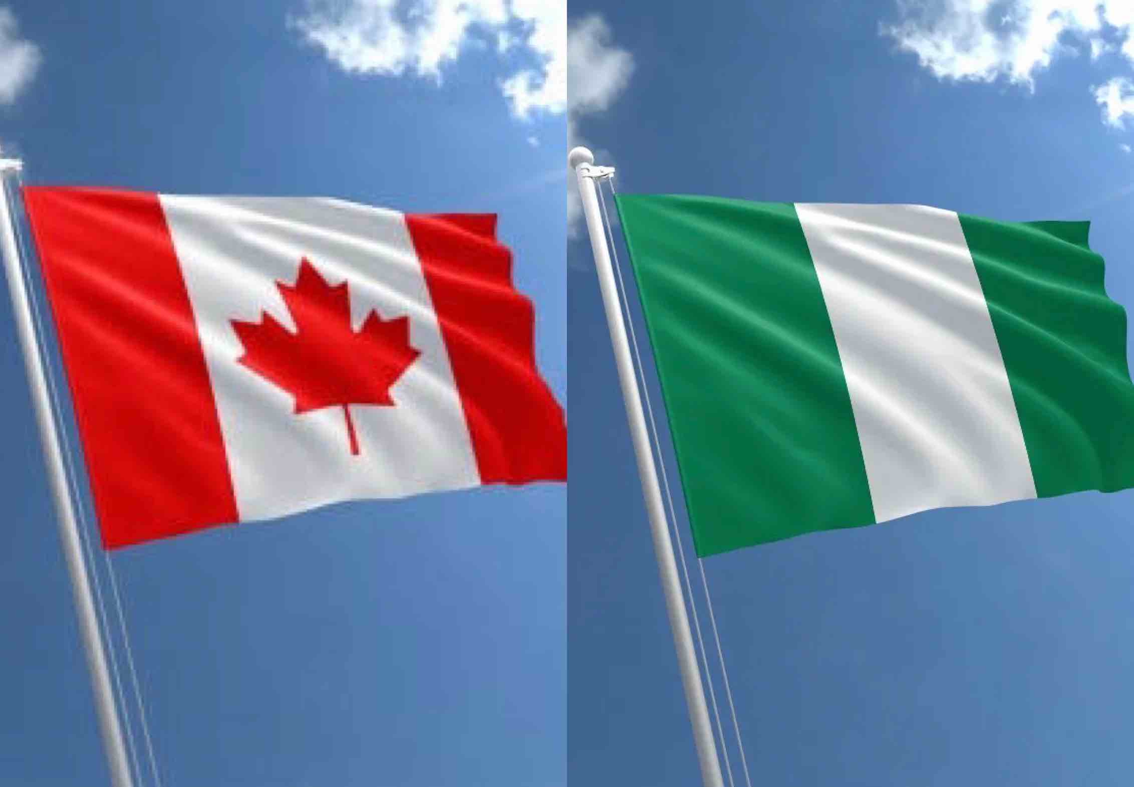 Nearly 1,000 Nigerians Face Deportation as Canada Tightens Immigration Rules