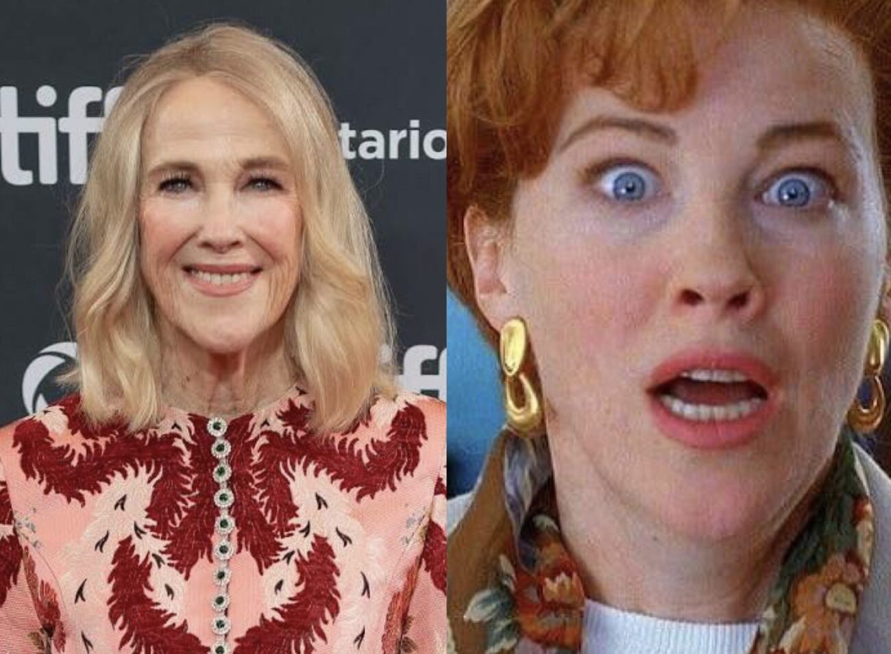 IMG 7187 scaled e1769894771467