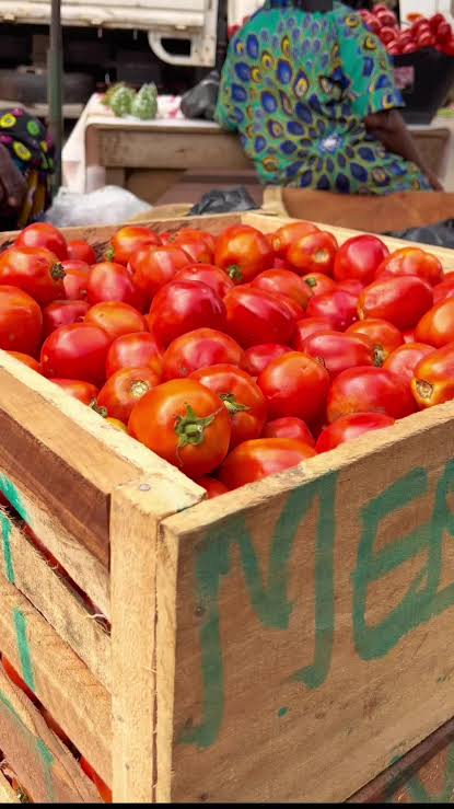 images 2026 04 05T102420.256