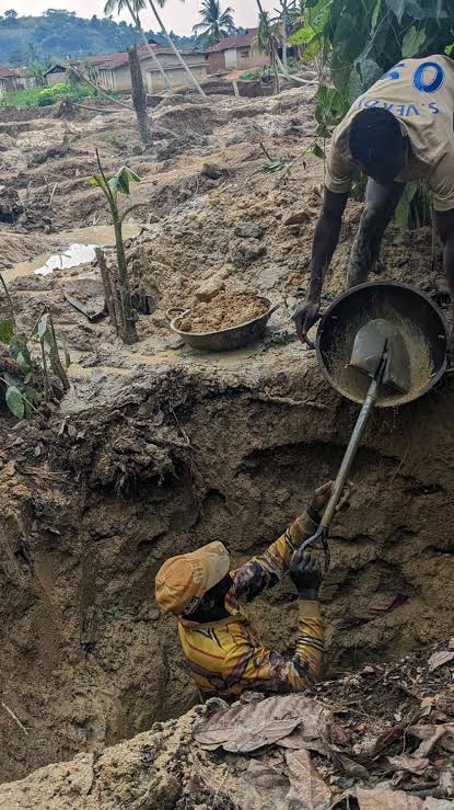 images 2026 04 07T110358.364