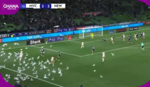 seagulls takes over the pitch