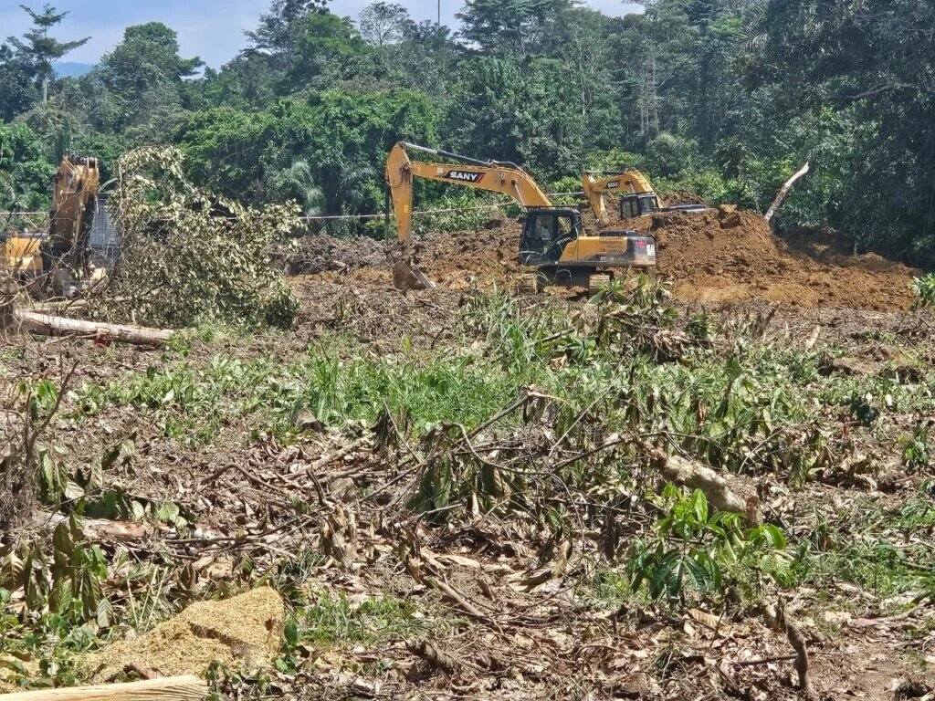 COCOBOD Secures High Court Injunction to Protect Dunkwa Offin Cocoa Farms