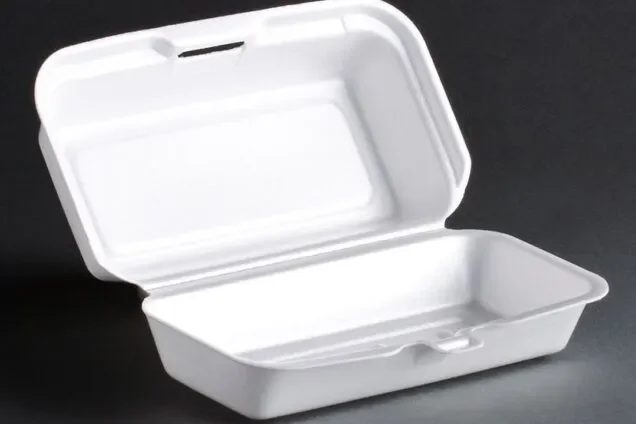 Ghana’s Bold Step Toward a Cleaner Future: The Styrofoam Ban Explained