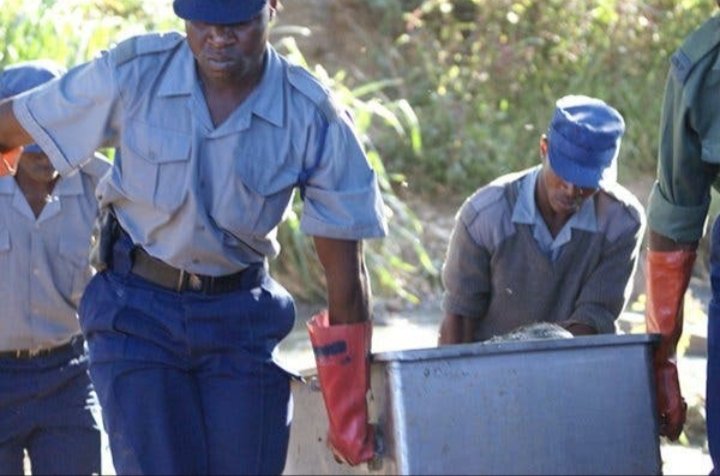 Man Kills Wife In Front Of Her Relatives For Trying To Divorce Him In Zimbabwe