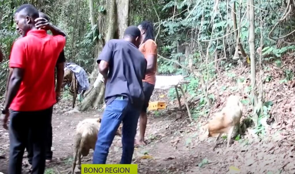 Two AME Zion Headteachers Die After Spiritual Encounter with a Mad Man at Kobedi, Queen Mother Intervenes