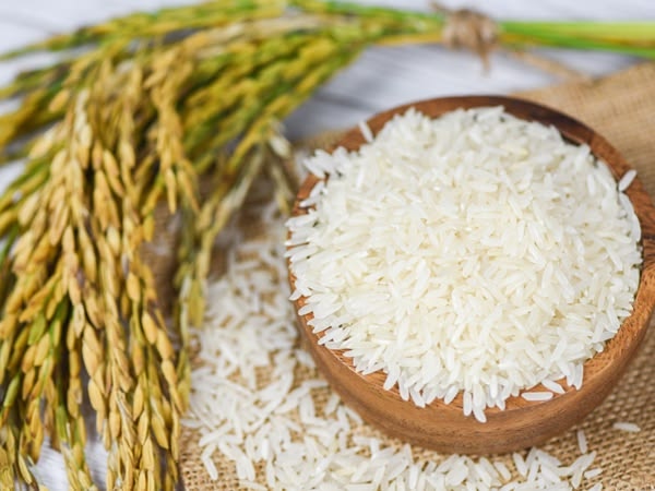 Why NAFCO Needs GH¢770 Million to Save Ghana’s Surplus Rice Harvest