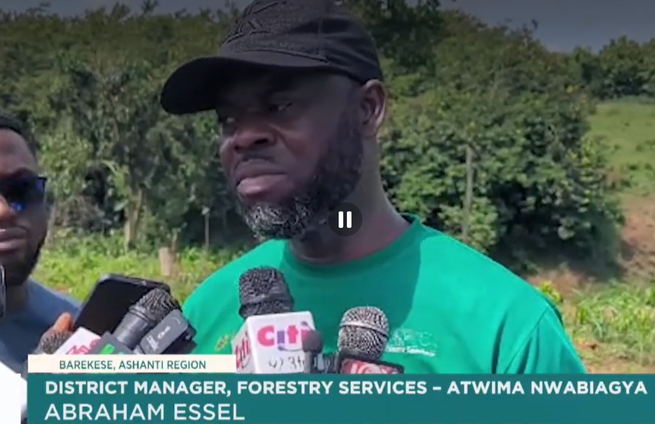 Barekese Dam Under Threat as Forest Destruction Intensifies in Ashanti Region