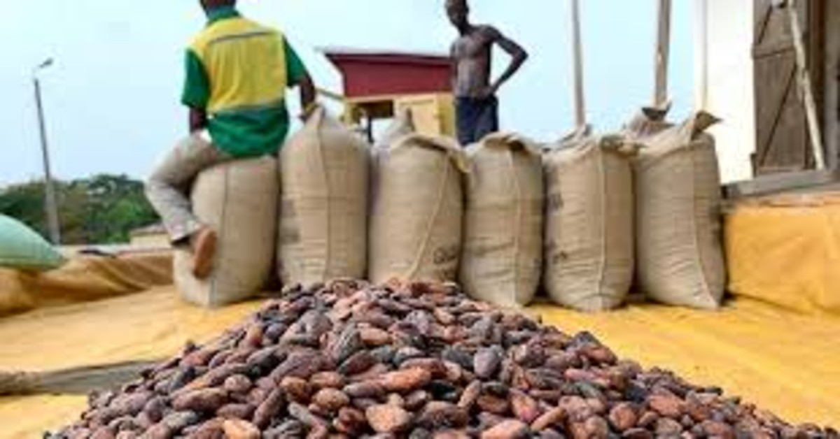 Ghana Maintains Cocoa Prices Amid Global Market Decline to Support Farmers