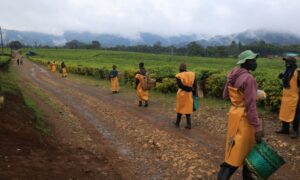 IMF Approves $250 Million Credit Facility to Support Rwanda’s Economic Resilience