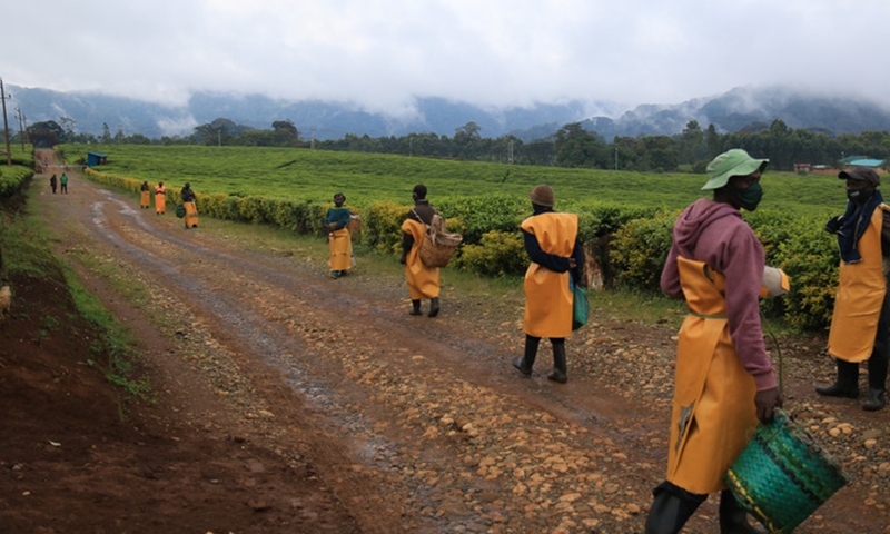 IMF Approves $250 Million Credit Facility to Support Rwanda’s Economic Resilience
