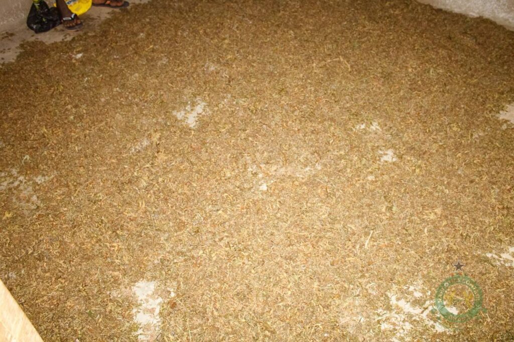 NACOC Arrests Three Suspected Drug Barons in Volta Region Raid