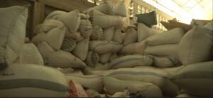 PFAG Demands Import Quotas as 90% of Ghana Rice Farmers Hold Unsold Stock