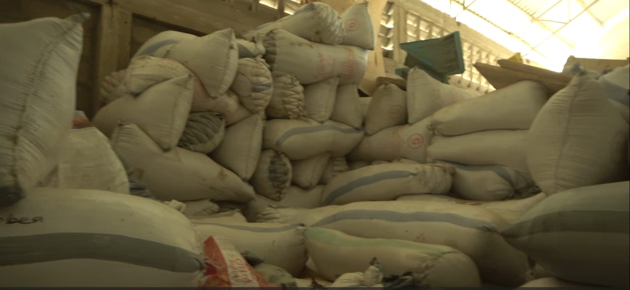 PFAG Demands Import Quotas as 90% of Ghana Rice Farmers Hold Unsold Stock