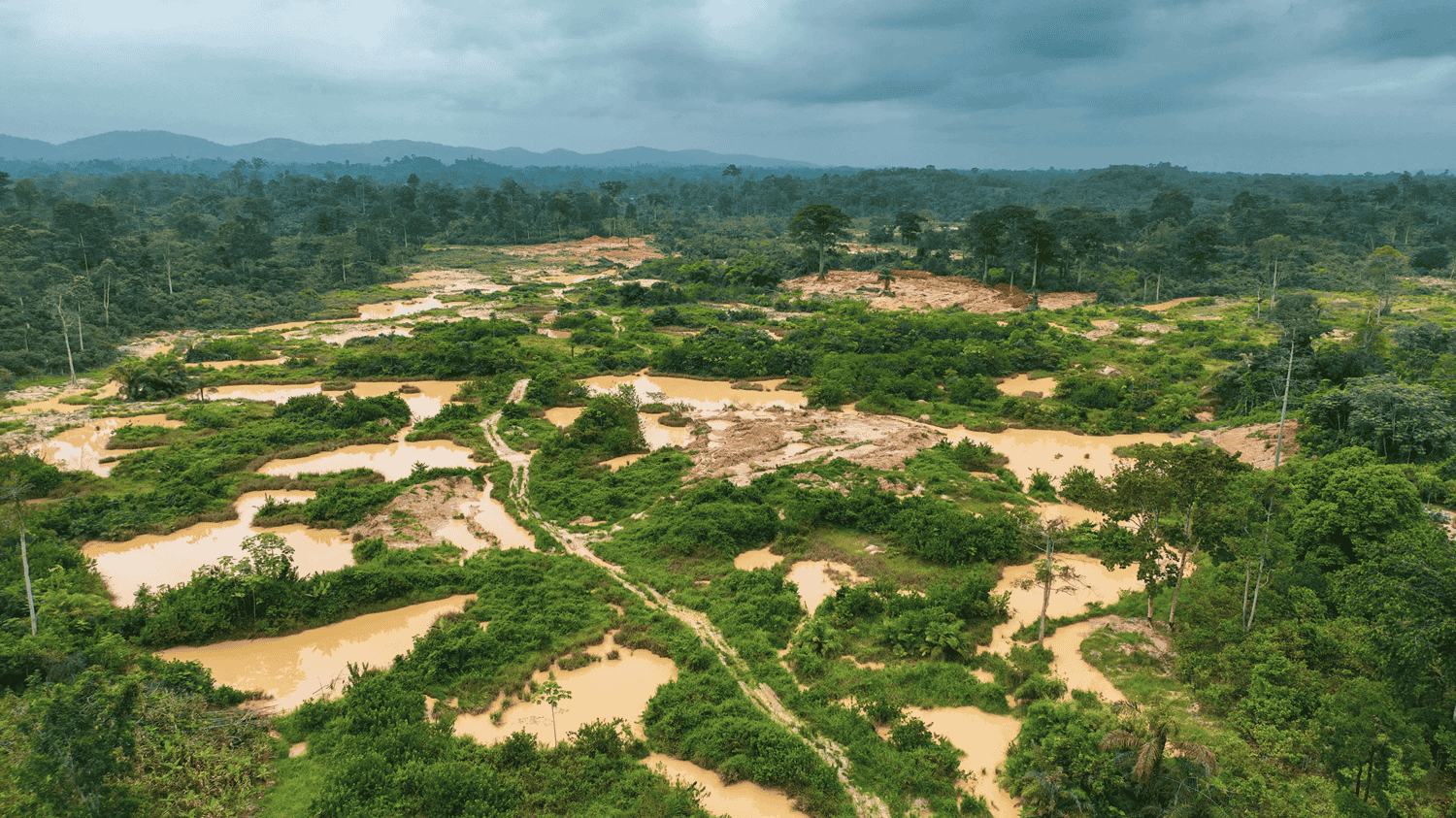 Parliamentary Minority Welcomes Presbyterian Church Nationwide Anti Galamsey Campaign