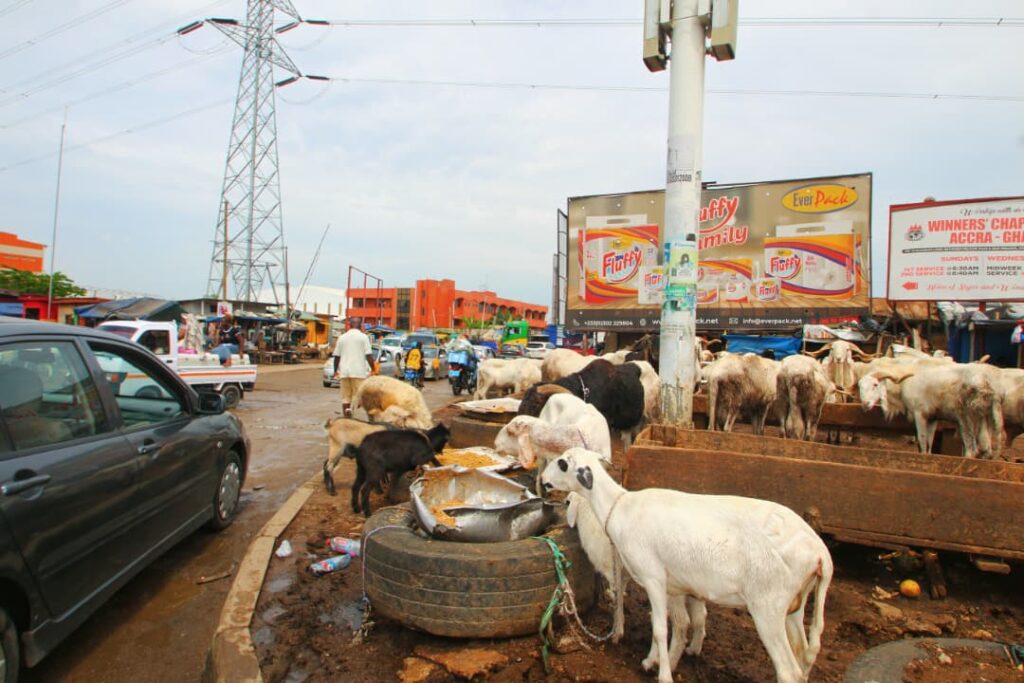 Streets Taken Over The Growing Crisis of Road Encroachment in Avenor