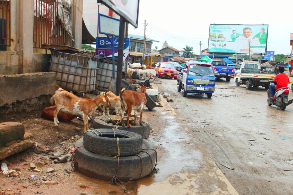 Streets Taken Over The Growing Crisis of Road Encroachment in Avenor