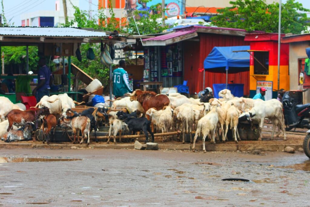 Streets Taken Over The Growing Crisis of Road Encroachment in Avenor