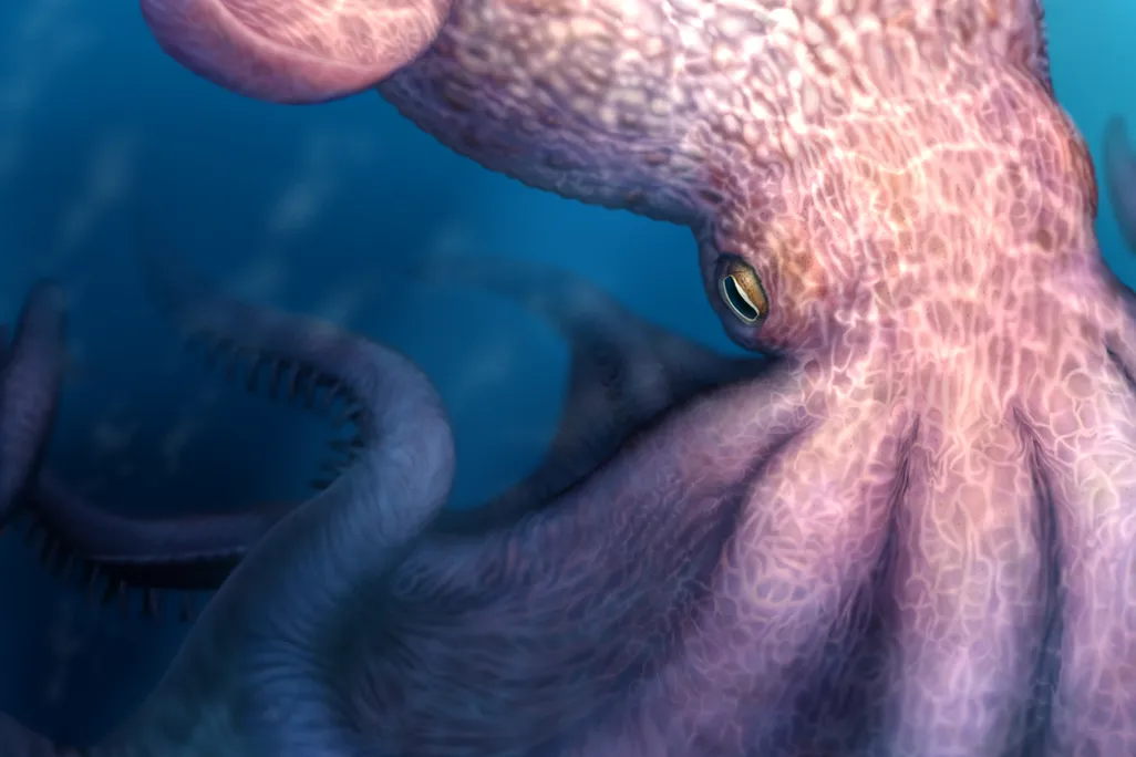 Ancient octopus