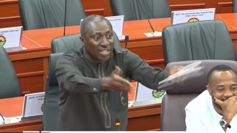 I am your senior in this chamber you must listen to me - Afenyo-Markin clashes with AG