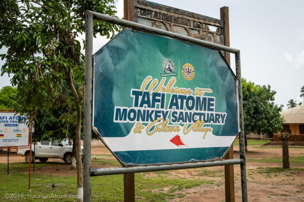 tafi atome monkey sanctuary