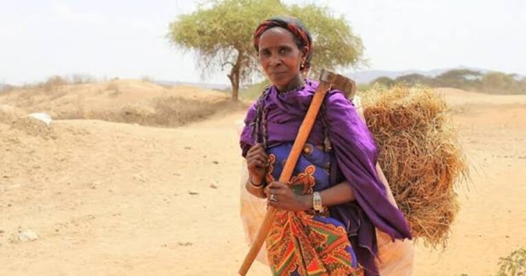4,239 Herders and 97,395 Animals Recorded in Upper East and Upper West