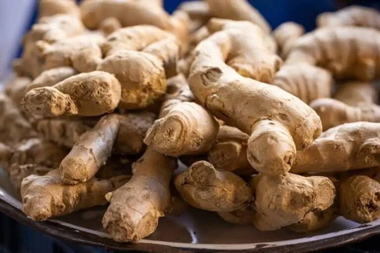 CSIR Warns As Ghana Ginger Import Dependence Exceeds 99 Percent