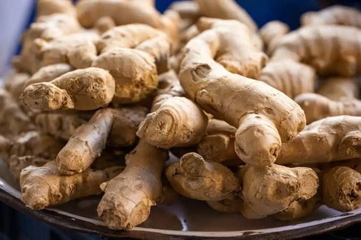 CSIR Warns As Ghana Ginger Import Dependence Exceeds 99 Percent