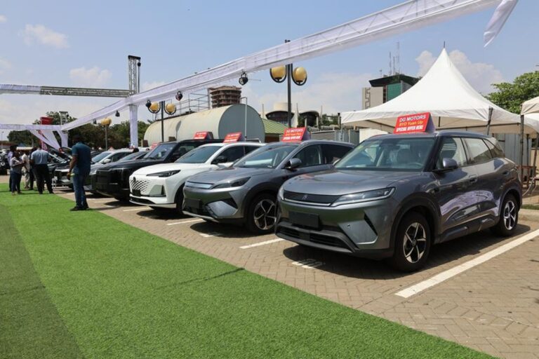 chinese cars to beat fuel crises