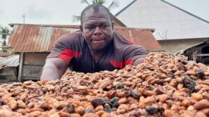 Cocoa