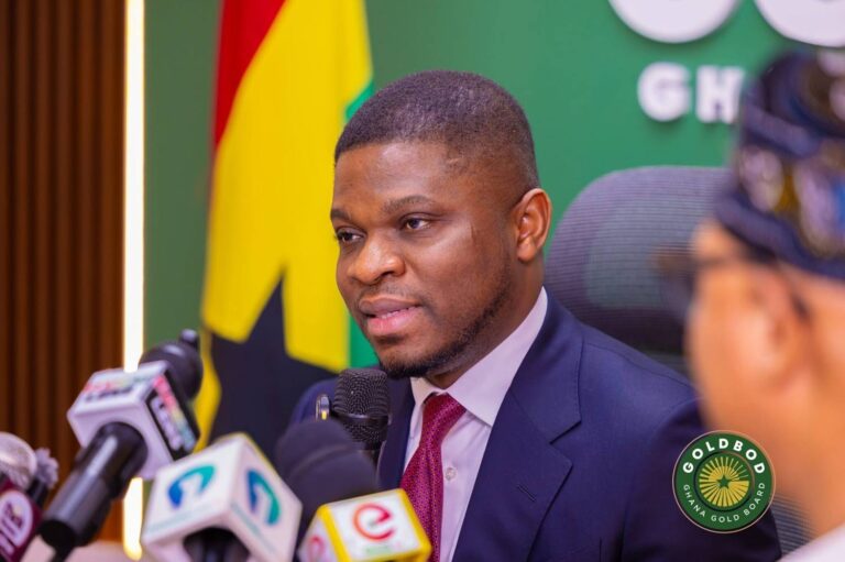 Sammy Gyamfi Dares Minority To Face Him In Parliament!