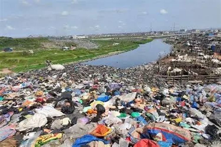 Waste
